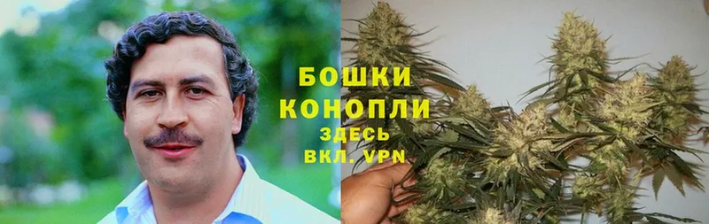 Канабис THC 21%  купить   Томск 